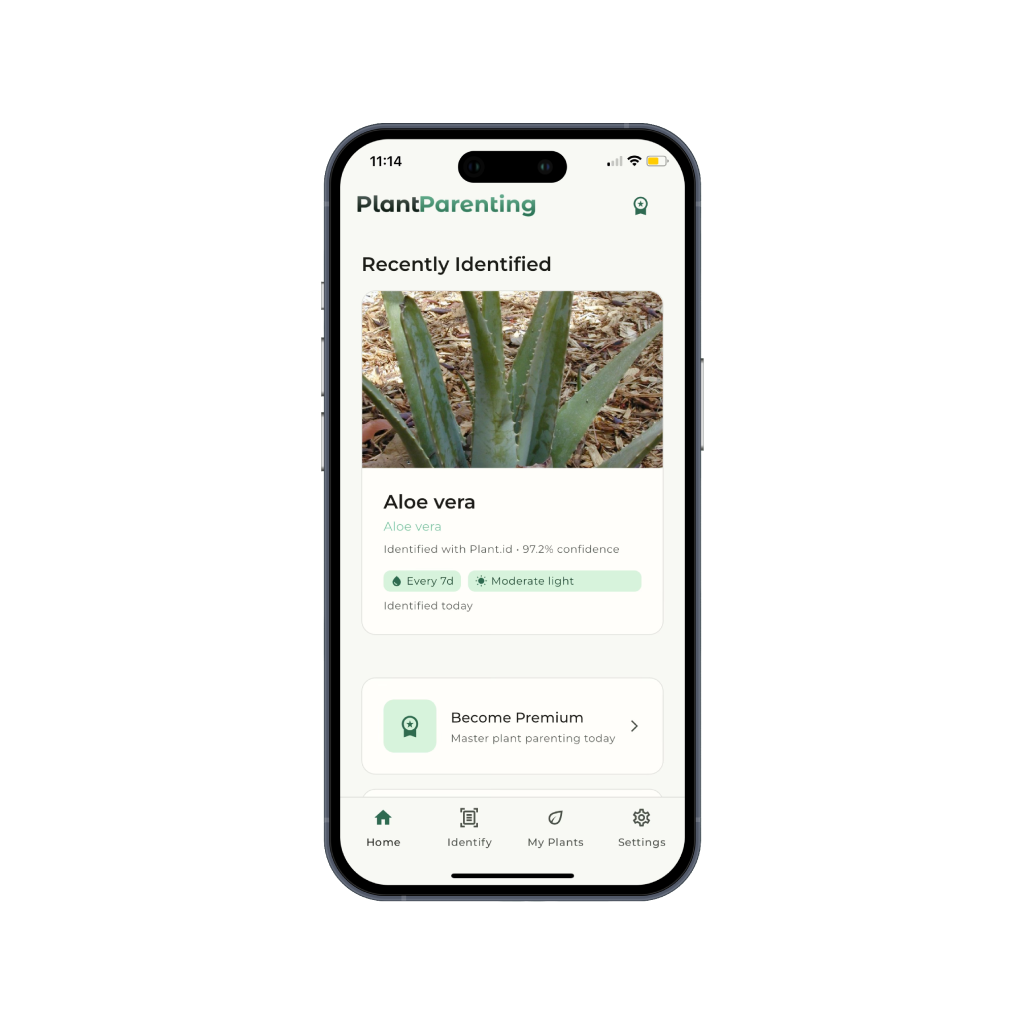Plant Care app showing plant identification